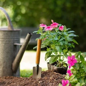 Gardening Tool Set 4 Pcs Pruner Shears, Hand Cultivator, Trowel & Fork with Wooden Handle Farming Equipment & Essential Garden Kit