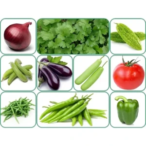 10 Variety Of Vegetable Seeds Combo Pack With Instruction Manual. 1