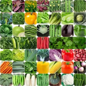 45 Varieties of Vegetable Seeds for Home Garden, Organic & Hybrid, Perfect for Home Gardening Wide Variety of Vegetables (2000 Seeds) 1