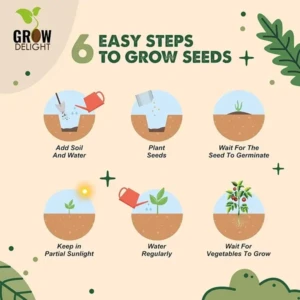 45 Varieties of Vegetable Seeds for Home Garden, Organic & Hybrid, Perfect for Home Gardening Wide Variety of Vegetables (2000 Seeds)