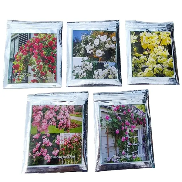 5 different variety Of Climbing Rose Seeds (Red,Yellow,Dark Pink,Pink,White)(Each 50 Total 250 Seeds) Natural Hybrid 3
