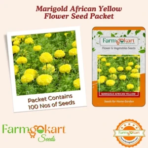 6 Varieties Combo Pack for Beautiful Home Gardening Marigold Flower Planting