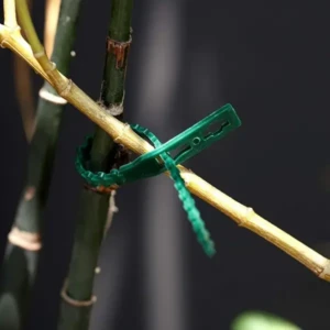 60 PCS Plant Support for Climbers Plant Support Sticks Plant Climbing Wall Clips Plant Ties (17cm)
