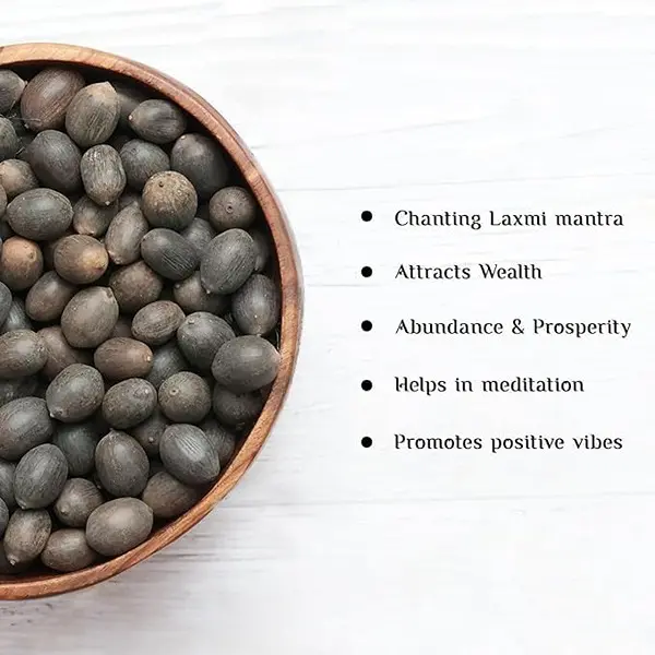 All Season Lotus Flower Hybrid Japanese Lotus Flower Seeds 25 Seeds Dwarf Rainbow Lotus Kamal Gatta Beej Mix of 12 Colors Exotic Variety 3