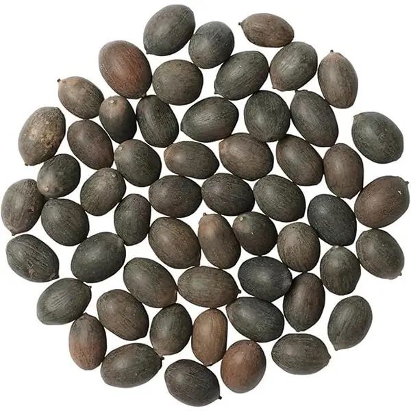 All Season Lotus Flower Hybrid Japanese Lotus Flower Seeds 25 Seeds Dwarf Rainbow Lotus Kamal Gatta Beej Mix of 12 Colors Exotic Variety 5