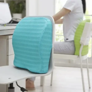 Back Support for Chair, Back Rest for Chair Back Pain, Lumbar Support for Car Support with Memory Foam, 8 Magnets, Washable Mesh Cover & Adjustable Strap1