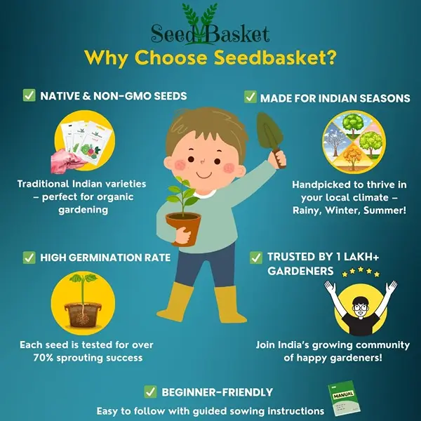 Brinjal Seeds Pack of 7 Varieties 400+ Hybrid & Non-GMO Seeds 90% Germination 4