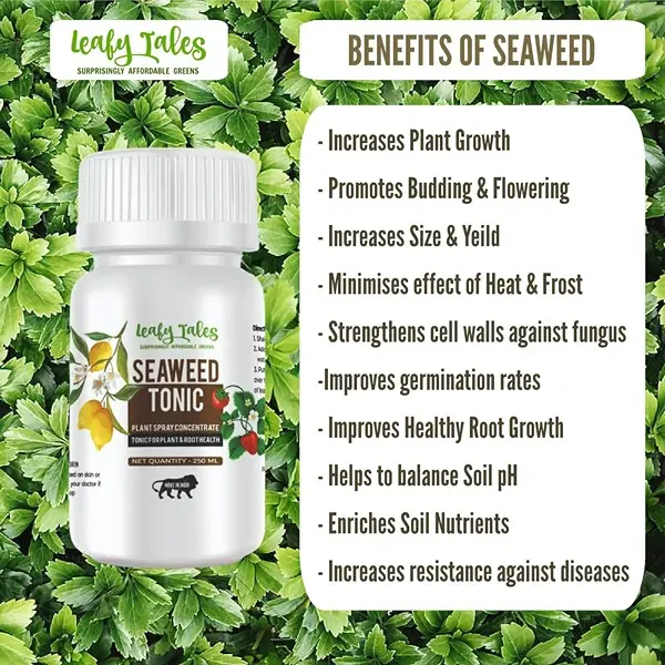Concentrate Liquid Seaweed Fertilizer Tonic for Plants 250 ml for Plant Growth, Flowering & Fruiting 2