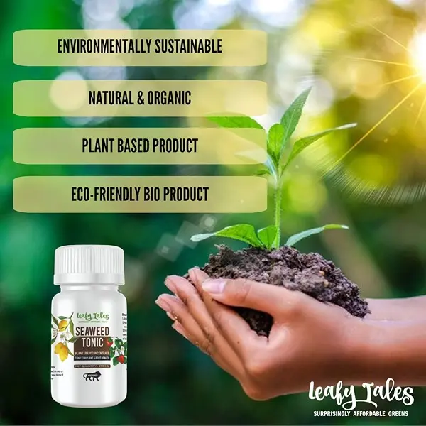 Concentrate Liquid Seaweed Fertilizer Tonic for Plants 250 ml for Plant Growth, Flowering & Fruiting 3