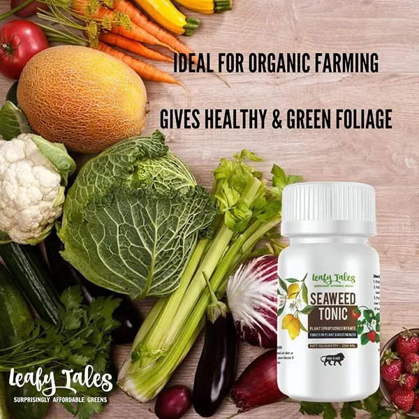 Concentrate Liquid Seaweed Fertilizer Tonic for Plants 250 ml for Plant Growth, Flowering & Fruiting 4