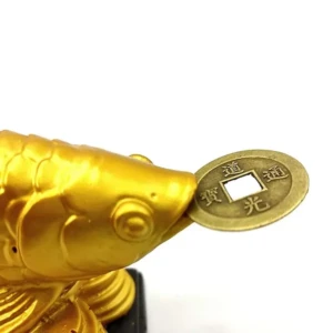 Feng Shui Golden Arowana Fish Strong Wealth Symbol & Protects Mishaps