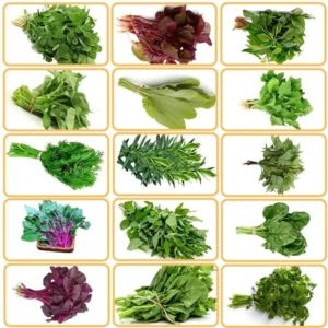 Green Leafy Vegetable seeds 15 Varieties 150 g Each Packet 10g 15k+ Seeds Best Germination 1