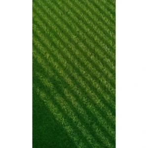 Imported lawn grass seeds for Home and Gardening (PACK OF 5 GRAM)