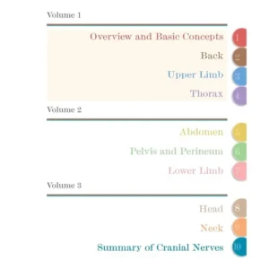 Moore?s Clinically Oriented Anatomy (3-Vol Set) -2nd SAE Paperback