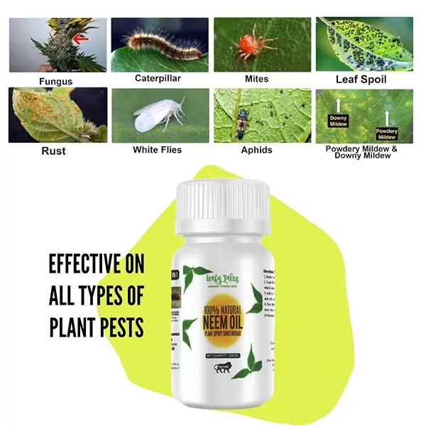 Neem Oil Pure Cold Pressed Water Soluble for Plants for Plant infestation (200 ml concentrate make up to 45 spary bottles) 2