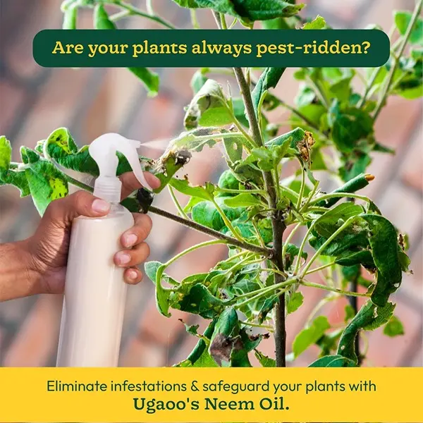 Neem Oil Spray for Plants & Garden - Highly Effective on Plant Insects (100 ml) 2