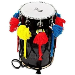 Punjabi Bhangra Junior Dhol Dholki Free Padded Carry Bag Standard Size