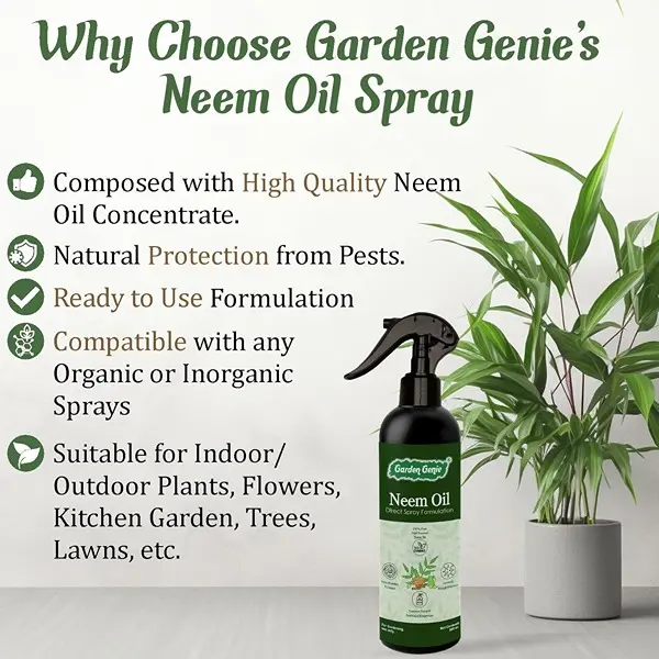 Ready to Use Neem Oil Spray 500ml Organic Insecticide for Plants, Fungus 2