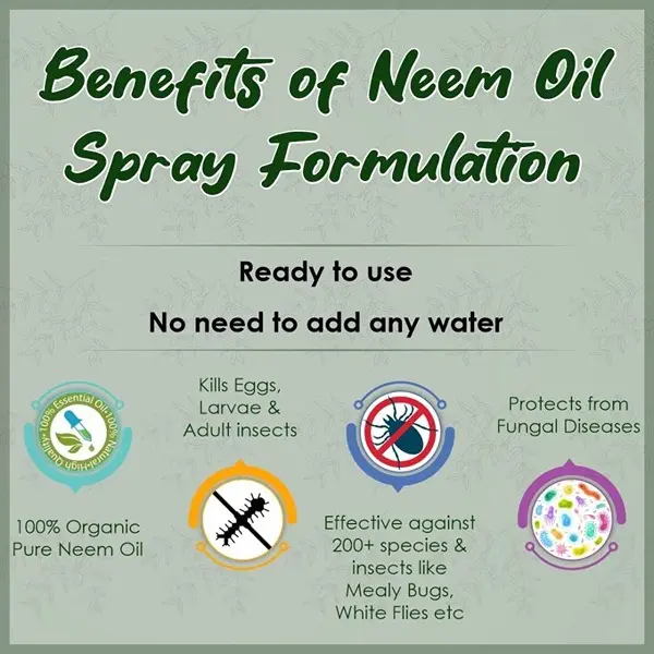 Ready to Use Neem Oil Spray 500ml Organic Insecticide for Plants, Fungus 3