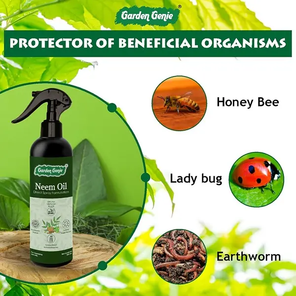Ready to Use Neem Oil Spray 500ml Organic Insecticide for Plants, Fungus 5