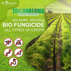 Trichoderma Bio Fungicide for plants (2 x 10^8 CFU per Gram) Bio Fungicide 400 Gm