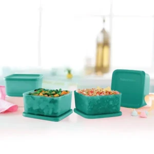 Tupperware Plastic Containers – 650ml, 4 Pc, Green
