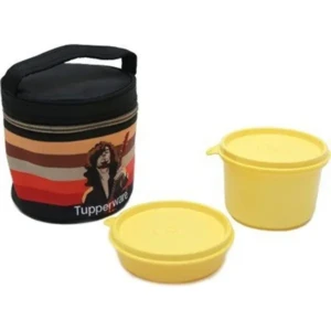 Tupperware Plastic Lunch Box with 2 Containers, Multicolour1