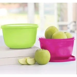 Tupperware. Plastic SS Bowl 2 litres Set of 2 pc1