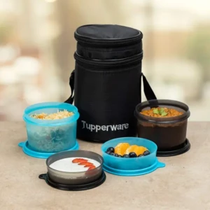 Tupperware Plastic Xtreme Executive Lunch Set (Blue, Black)