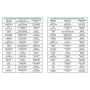 Vegetable Seeds Bank For Home Garden 45 Varieties – 2580+ Seeds