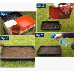 Wildflowers, Perennial Mix-50 Seeds